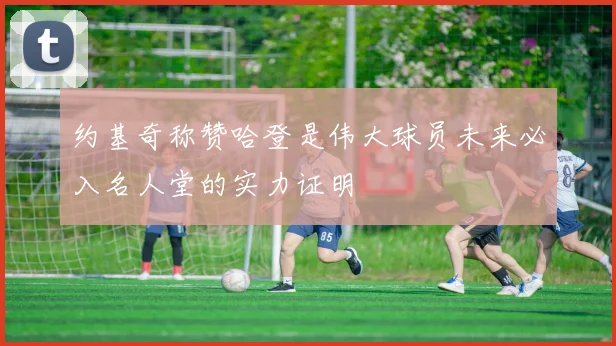 约基奇称赞哈登是伟大球员未来必入名人堂的实力证明