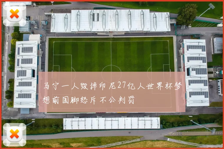 马宁一人毁掉印尼27亿人世界杯梦想前国脚怒斥不公判罚